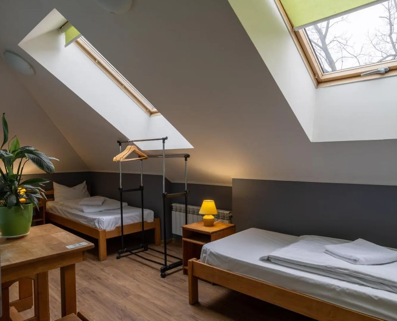 Dream Hostel Kiev 0*,